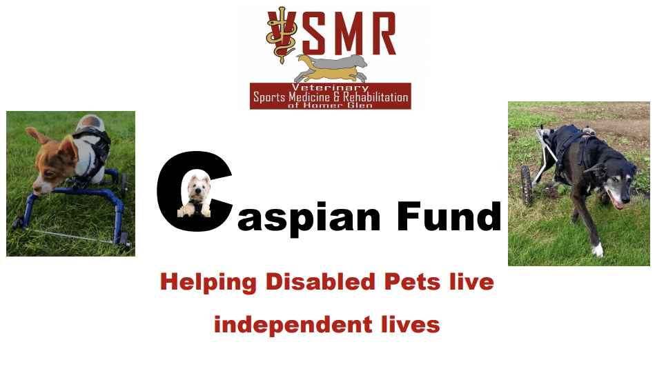 Caspian Fund Logo