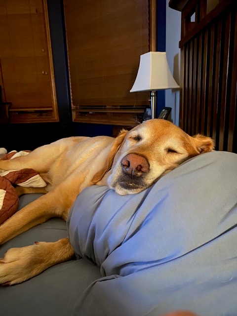 thumbnail_image001