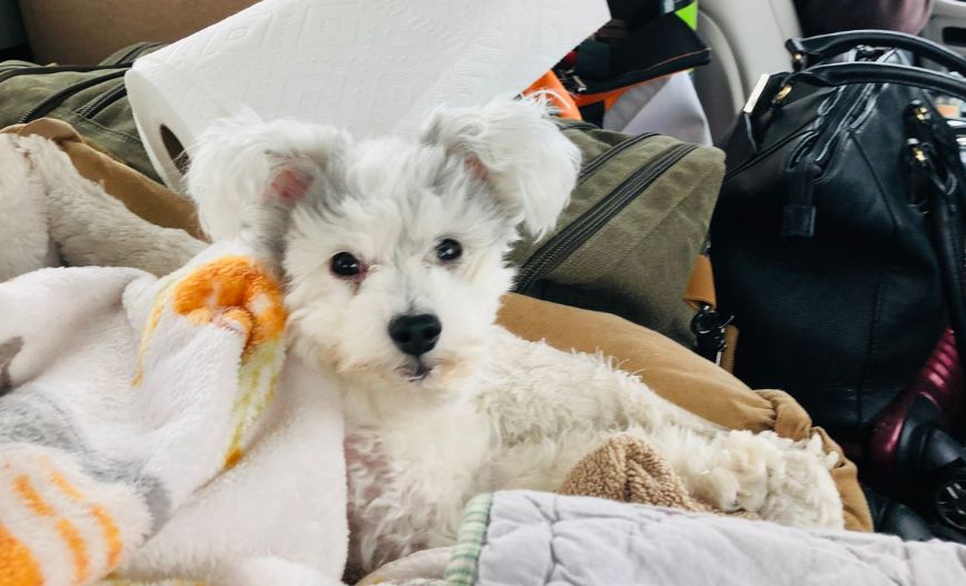 August Patient of the Month: Jackson