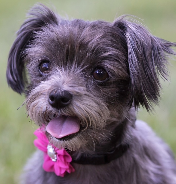 September Patient of the Month: Marzi