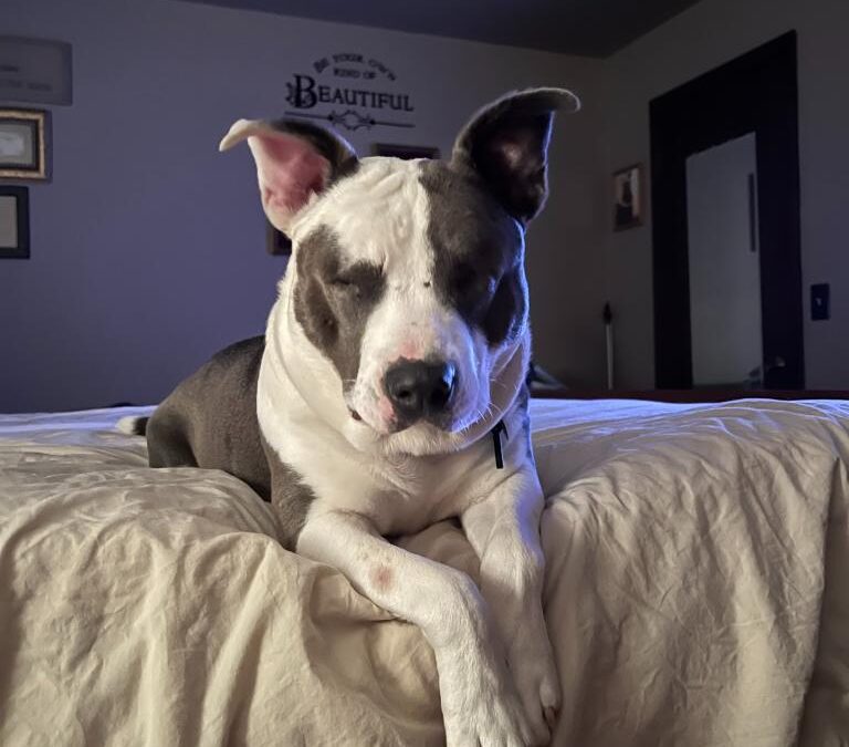 October Patient of the Month: Blu