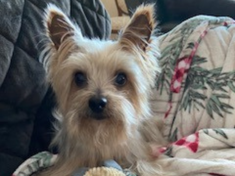 December Patient of the Month: Tank