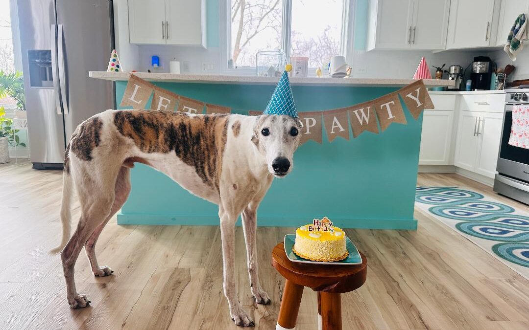 March Patient of the Month: Rio