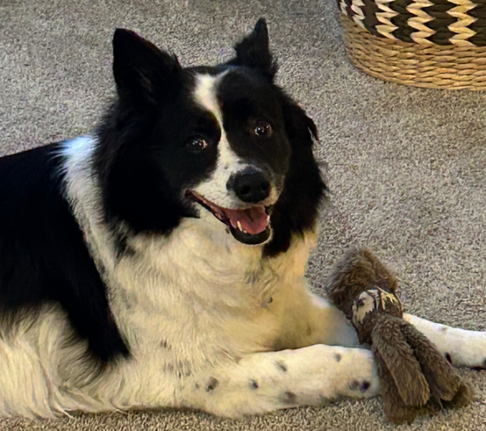 September Patient of the Month: Madison and Rosie