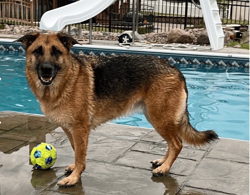 October Patient of the Month: Arya
